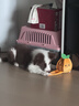 贵为（GiGwi）狗玩具嗅闻藏食自嗨解闷益智玩具猫咪狗狗消耗体力漏食宠物玩具 实拍图