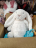 Jellycat害羞乳白色邦尼兔动物毛绒玩偶安抚玩偶娃娃送礼生日礼物 害羞乳白色邦尼兔 Medium 实拍图