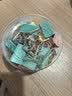 新时达48只桶25mm彩色长尾票夹 电泳工艺不掉漆 环保涂料无异味 金属夹 简约风格 实拍图