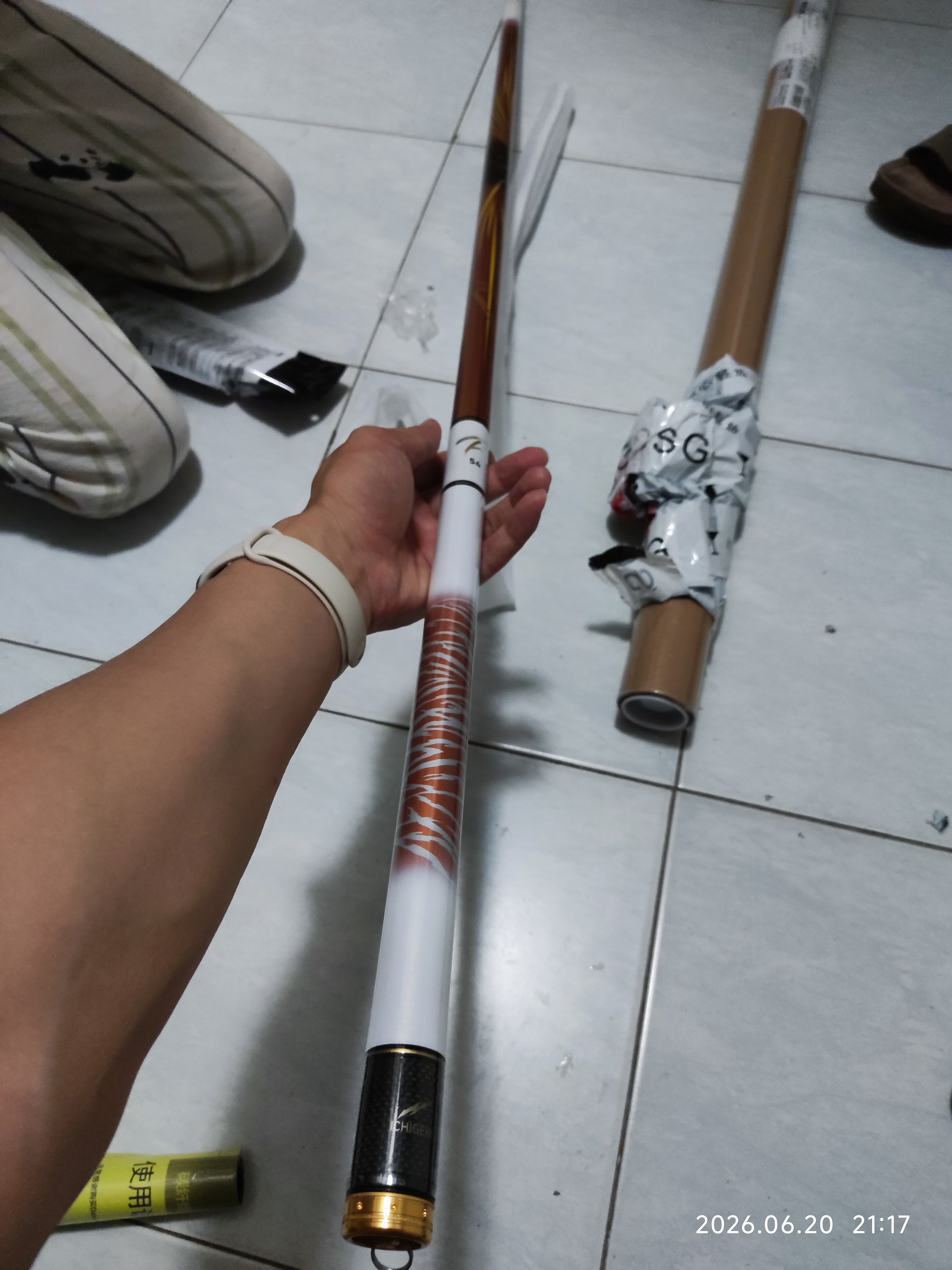 达亿瓦（DAIWA）一击 轻量鲤鱼鲫鱼草鱼罗非 进口鱼竿手杆 轻硬挺 休闲台钓 5.4m 一击F 54.K（综合）【野钓主力，全水域通杀】 不支持使用/试用后退换货 实拍图