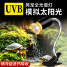森森（SUNSUN）乌龟灯晒背灯爬虫加热灯泡保温灯全光谱太阳灯养龟用品 （灯架+35W卤素灯泡）全光谱UVB晒背灯 实拍图