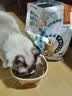 比瑞吉猫粮全价全阶段鸭肉瓜6幼成年期美毛宠物添加鱼油三文鱼猫咪粮2kg 实拍图