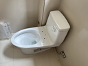 TOTO马桶CW817REB节水连体卫生间冲落式主体陶瓷智洁座便器(04-A)  CW854SB【经典爆款】305坑距 实拍图