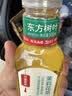 农夫山泉东方树叶菊花普洱500ml*15瓶无糖茶饮料0糖0脂0卡饮品整箱装 实拍图