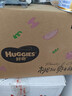 好奇（Huggies）铂金装小桃裤成长裤XXL74片(15kg以上)尿不湿【夏季散热王】 实拍图