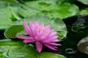 适马（SIGMA）Art 85mm F1.4 DG DN 全画幅微单 大光圈定焦镜头 人像肖像特写（索尼E卡口） 实拍图
