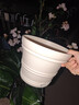 爱丽思（IRIS）特大号圆形花盆种树庭院超大加厚大盆景树木无花果蓝莓果树种植盆 8号米色 约4.9L (口径23.9cm) 实拍图