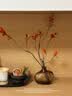 范爷家仿真花红枫叶花瓶套装树叶子发财叶室内摆件客厅装饰假花北欧摆设 实拍图