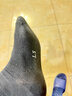 浪莎袜子男10双春夏新疆棉袜男士中筒商务10A级抗菌防臭男袜透气长袜 实拍图