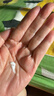 兰芝新水酷透明质酸嘭润修护润肤乳特润120ml滋润【临期清仓】 实拍图