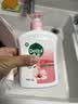 滴露（Dettol）健康抑菌洗手液滋润倍护500g 消毒抑菌99.99% 儿童适用不含酒精 实拍图