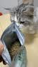 LEGENDSANDY【带防伪】蓝氏猎鸟乳鸽1.5kg全价猫粮营养长肉发腮成幼猫荒猎兔 【带防伪】猎鸟乳鸽500g 实拍图