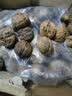 新货云南高原生态核桃薄壳核桃老树山核桃无水洗无漂白薄皮干核桃 大果云南老树薄皮核桃5斤+夹子 实拍图