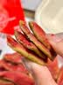 春江月果汁芭乐干60g番石榴水果干去籽果脯蜜饯休闲食品茶点零食孕妇 实拍图