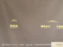 迈为（德国）X5家用投影仪超高清卧室办公家庭影院客厅商务投影机1080p智能手机投屏便携式 【顶配版】4K超高清解码+德国超强光机 实拍图