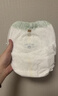 babycare金山茶花婴儿拉拉裤mini装L码20片(9-14kg)尿不湿超薄透气 实拍图