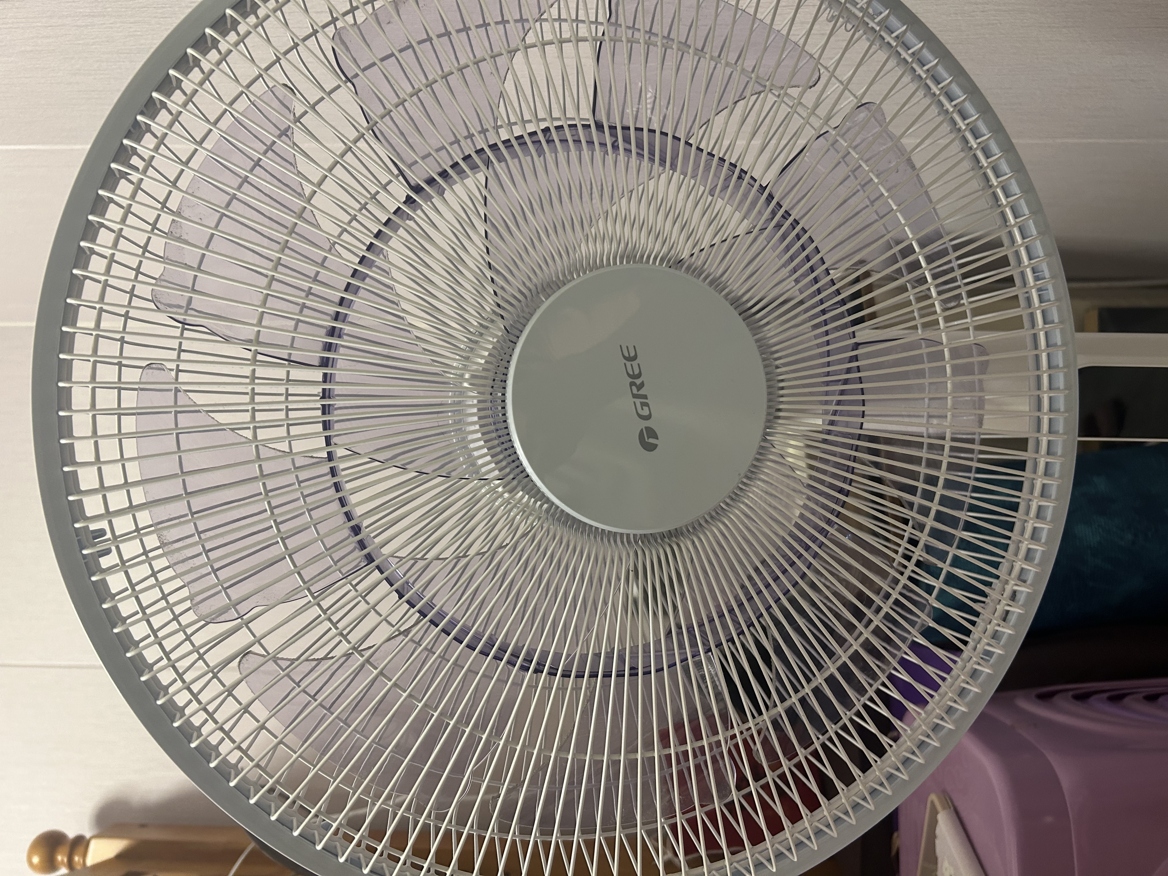 格力落地扇电风扇一级能效直流变频节能智能遥控双层仿生蝴蝶扇14扇叶家用卧室风扇轻音不扰眠22档调节 【门店热销款】16寸仿生扇叶22档调节 实拍图