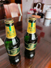 青岛啤酒（TsingTao）奥古特 330*24瓶  整箱装 实拍图