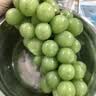 京鲜生 云南阳光玫瑰 净重2.8-3.3斤单果8-10g 葡萄/提子 源头直发 实拍图