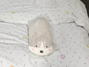 名创优品（MINISO）海洋系列鲨鱼公仔趴姿毛绒玩具娃娃睡觉室内卧室办公室生日礼物 实拍图