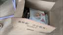 冠能猫粮室内成猫猫粮10kg 全价猫粮 添加膳食纤维 控制毛球 实拍图