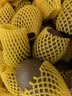 佳沛（zespri）新西兰阳光金奇异果巨大果15粒礼盒 单果146-175g 猕猴桃水果礼盒 实拍图