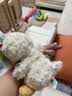 Jellycat甜美小鸭可爱公仔动物毛绒玩偶小玩偶陪伴娃娃送礼生日礼物 甜美小鸭 One Size 实拍图
