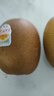 佳沛（zespri）新西兰阳光金果4粒装单果约103-114g 猕猴桃新鲜水果源头直发 实拍图