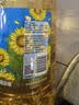 金龙鱼 食用油 压榨 不油腻轻年葵花籽油4L（新老包装随机发货） 实拍图