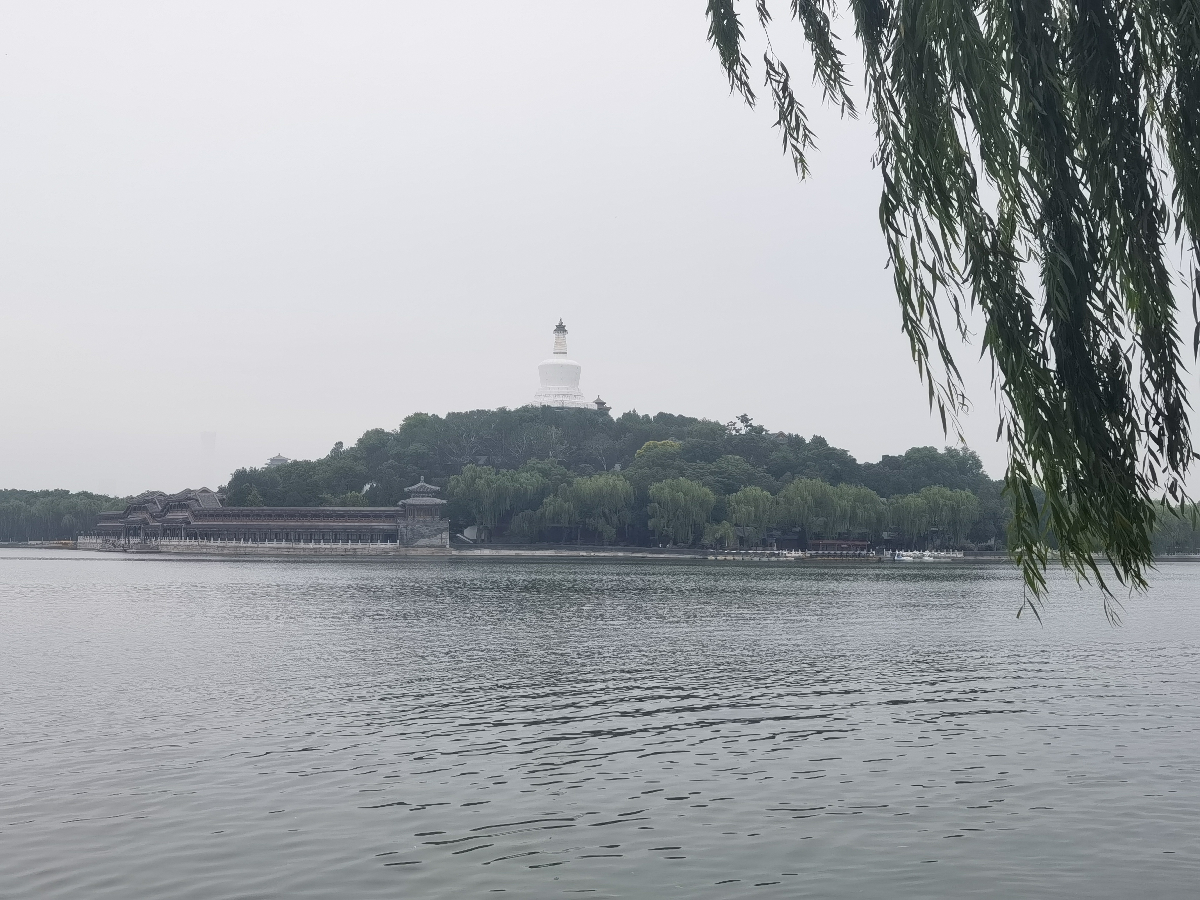 茅台 贵州大曲70年代 酱香型白酒 53度 500ml 单瓶装 实拍图