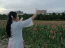 安踏（ANTA）小蛮腰泳衣女士连衣裙式成人保守泳装修身显瘦遮肉弹力游泳衣 2XL 实拍图