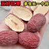 果乐友正宗新疆若羌灰枣新疆灰枣特级干果大枣吊干枣子红枣未清洗枣特产 超特等原生态灰枣5斤【新疆直发 实拍图