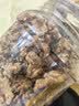 农香森 盐焗味巴旦木仁500g罐装 坚果散装烘焙干果零食 实拍图