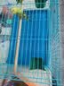 栗好嘉鸟笼鹦鹉笼子大全虎皮玄凤八哥画眉专用笼用品配件家用鸽子笼 大号50*33*32【套餐一】颜色备注 实拍图