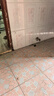 黑旋风热门商品蟑螂药杀蟑饵剂11个全窝端家用非无毒一窝端屋贴胶饵驱灭 实拍图