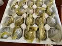 竹燕青烤海鸭蛋80g*20枚端午节特大蟹香流油正宗红树林咸鸭蛋团购即食熟 实拍图