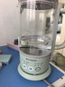 北鼎（Buydeem）【无胶水】养生壶烧水壶迷你养生杯办公室热水壶煮茶器K36浅杉绿（不含萃取篮） 实拍图