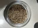 蔚鲜来孜然粒100g瓶装 0添加烧烤料羊肉撒料腌料火锅配料香辛调料 实拍图