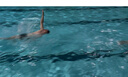 速比涛（Speedo）成人泳帽EPP布帽高弹舒适加大头围防水不勒头训练入门款纯色泳帽 实拍图