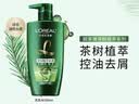 欧莱雅茶树洗发水 植萃去屑清爽控油去油男士女士洗发露500ml 实拍图