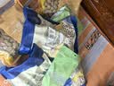 鲜窝窝 素海蜇丝500g 低脂凉拌菜火锅食材魔芋素丝素食水晶粉随机发货 实拍图