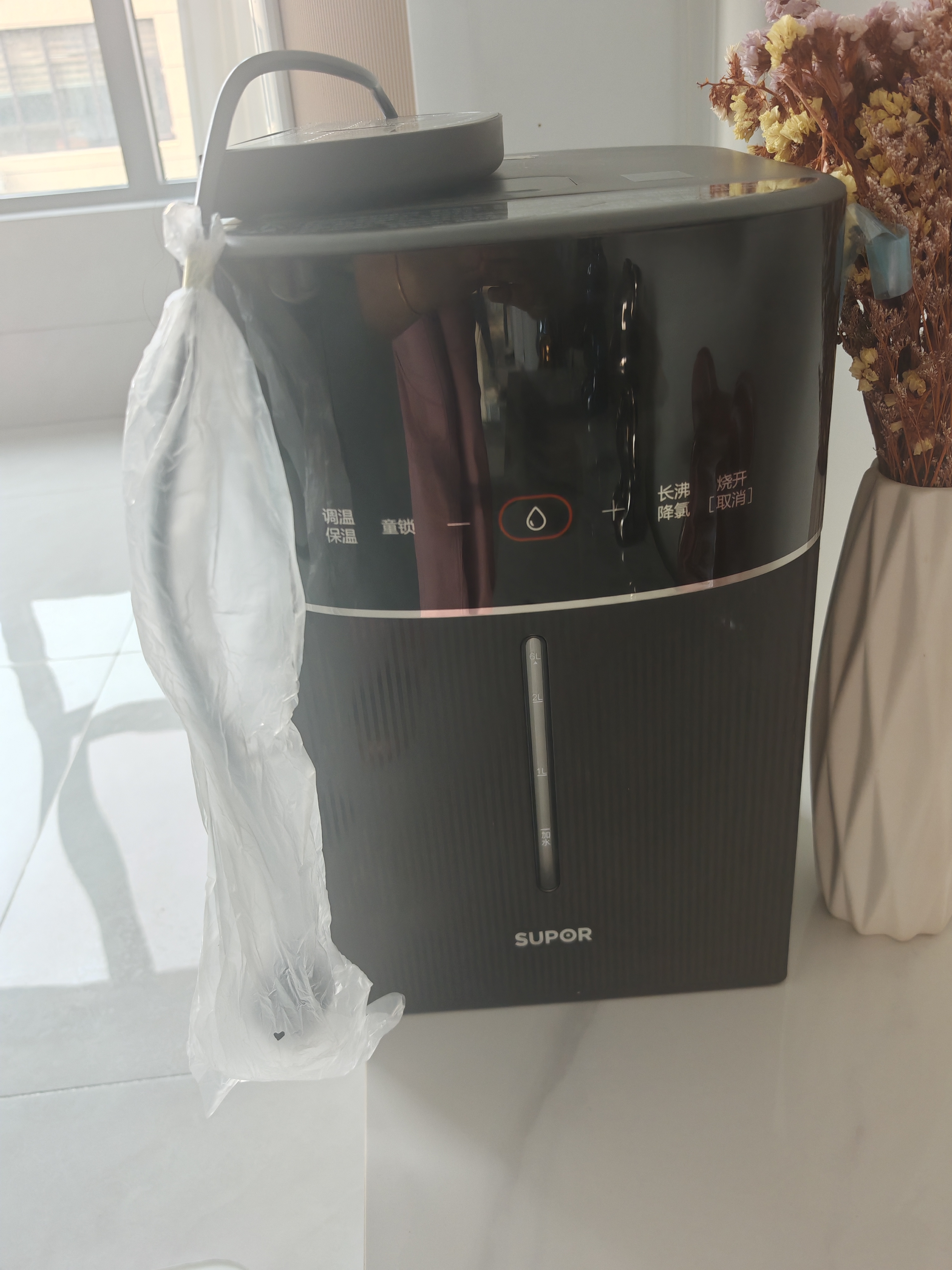 苏泊尔（SUPOR）纯钛内胆可拆电热水瓶6L电热水壶烧水保温恒温节能精准控温1200W净饮水机纯钛小魔方SW-60T709-Ti 实拍图
