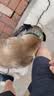 加仕高狗狗项圈中大型犬项圈宠物脖圈金毛萨摩帆布狗圈 双排孔 实拍图