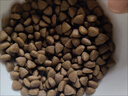 麦富迪狗粮 藻趣儿狗粮成犬粮牛肉螺旋藻 均衡营养15kg/30斤 实拍图