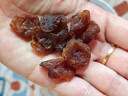 十月稻田桂圆肉 425g 无核桂圆干 无添加 煲汤泡水补气血 红枣枸杞莲子 实拍图