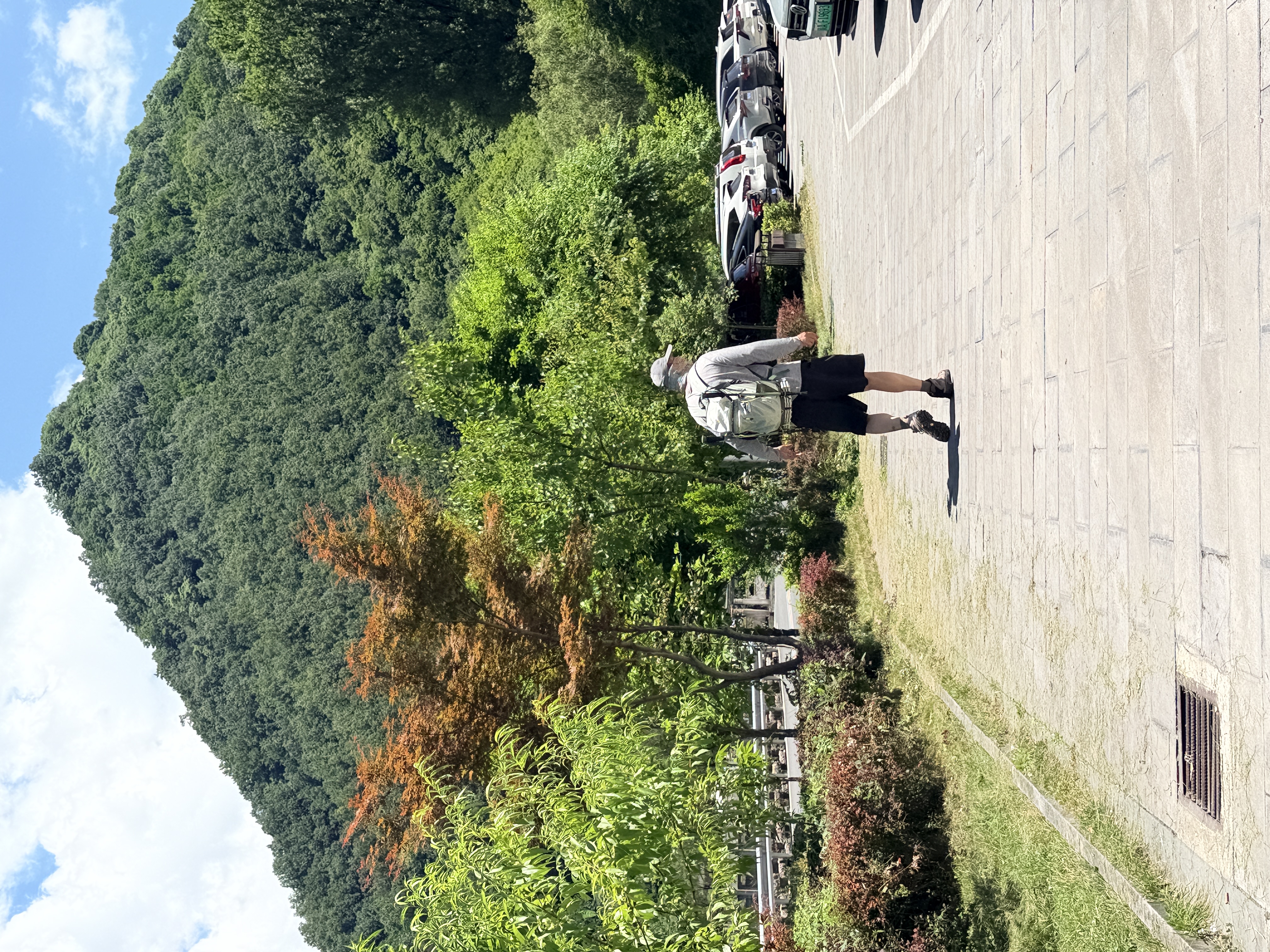 Naturehike挪客氦25L登山包专业徒步背包男士轻便爬山女户外旅行防水双肩包 实拍图
