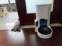 小佩宠物AI智能自动喂食器可视版2 定时定量 猫脸识别(支持鸿蒙智联) 实拍图