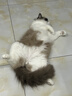 麦富迪猫罐头 barf霸弗主食猫罐头猫咪零食湿粮成猫呵护泌尿100g*12罐 实拍图