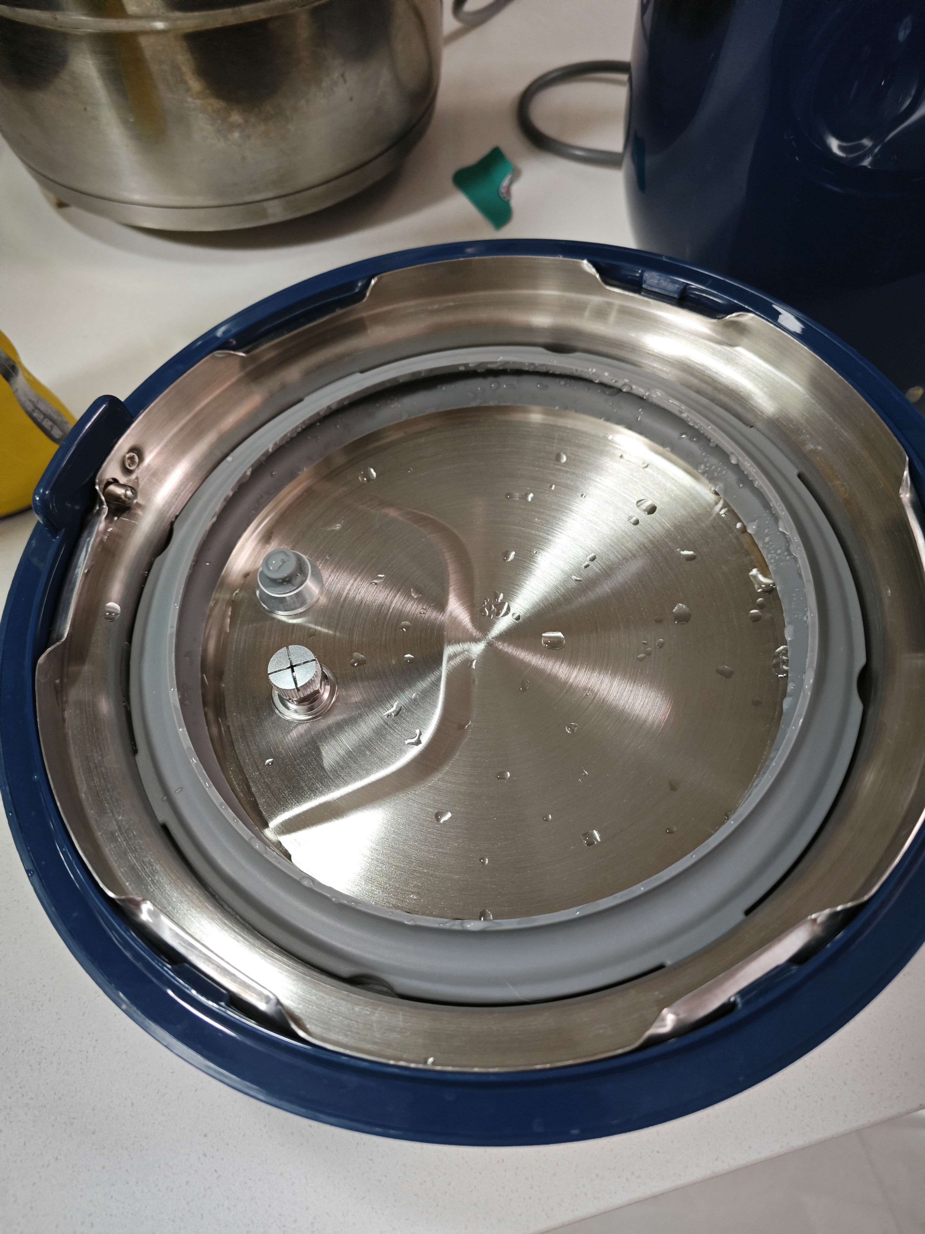 摩飞电器（Morphyrichards）电压力锅 电高压锅电饭锅电饭煲 用2.5L珐琅釉精釜多功能煲汤锅电火锅电煮锅MR8701蓝 实拍图