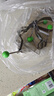 维简煎蛋模具煎鸡蛋神器煎饼荷包蛋爱心性圆形烘焙定性DIY模具 5个装 实拍图